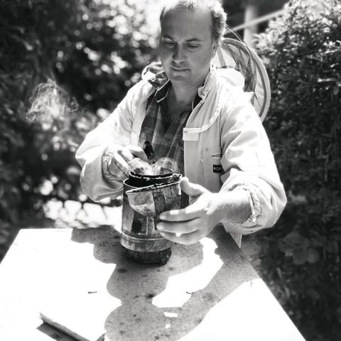 11_WST_fotó_Szarka_Fedor_Guido